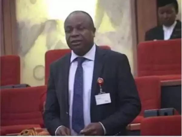 Drama As Nigerian Serving Senator Is Accused Of Stealing From A Widow